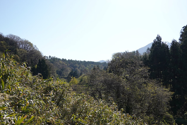 別所川渓流植物園へ向かいます