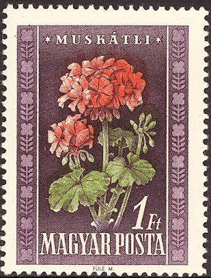 1950 Magyar Posta - Muskatli, Pelargonium Zonale