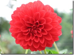 094