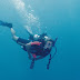 How Long will It Take a Free Diver to Get to the Bottom of Challenger  Deep in Mariana Trench