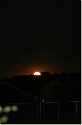 IMG_5509