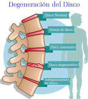 temas de fisioterapia