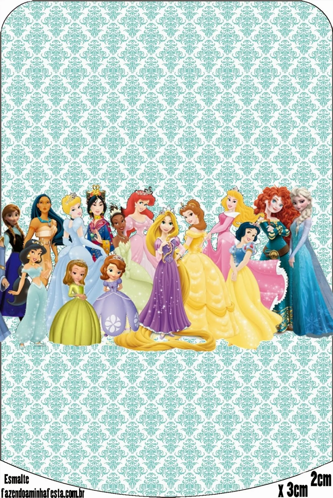 Etiqueta de Todas las Princesas Disney.