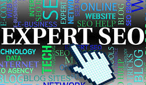 SEO Expert In Delhi