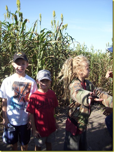 Corn maze 024