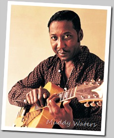 Muddy Waters 014