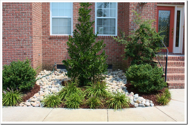 Drainage Landscape