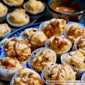 a plate of golden beet muffins with chocolate chips and a caramel drizzle