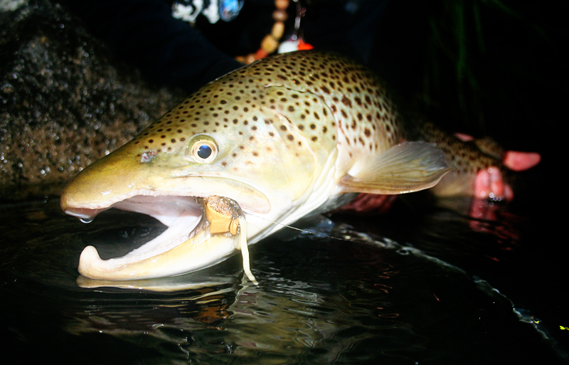 Fly fishing Q&A: Mousing at night  Hatch Magazine - Fly Fishing, etc.