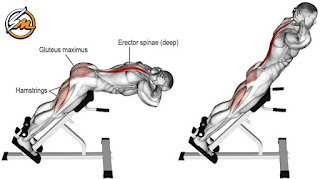 Best Back Exercises For Men