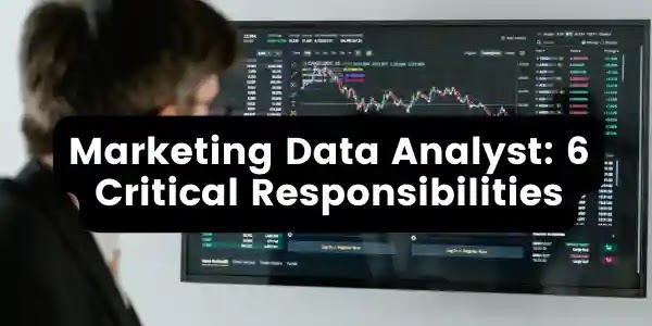 Marketing Data Analyst  Critical Responsibilities