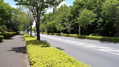 南多摩尾根幹線道路