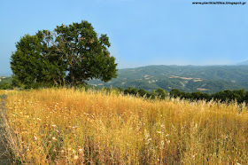 Καλημέρα Κατερίνη, καλημέρα Πιερία. Σάββατο σήμερα 5 Αυγούστου 2017