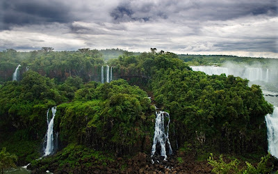 10 fotografías del bosque (lugares para respirar aire puro)