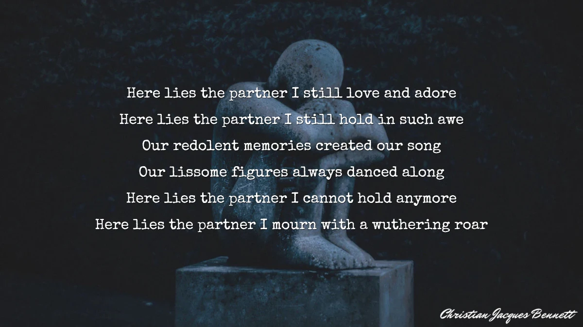the-partner-i-still-love