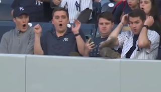 Squirrel runs in front of Yankees fans, 
