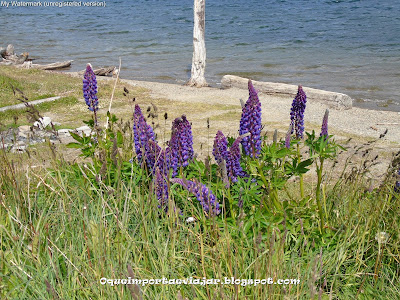 Lago Escondido - Ushuaia