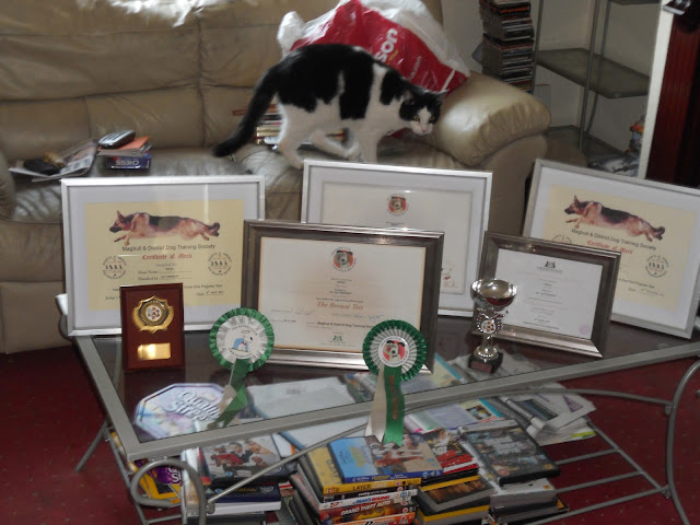 Sheba's trophies.