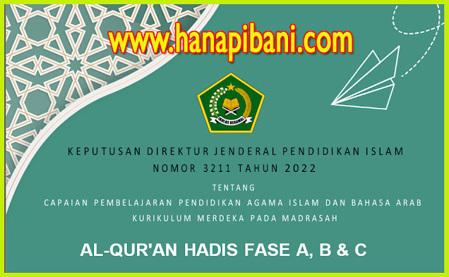 www.hanapibani.com