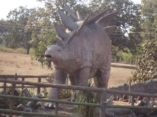 National Fossil Park, Ghughwa, Dindori