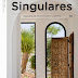 SINGULARE MAGAZINE #12