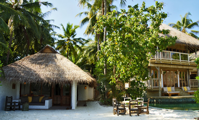 Photo of resort residences with palm trees all around