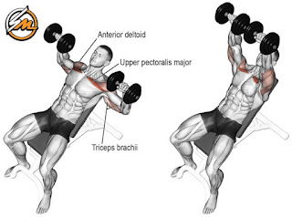 Ditch the Barbell! Build a Bigger Chest with These 5 Dumbbell Exercises