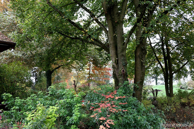 couleurs automnales au jardin le petit jard' Ain