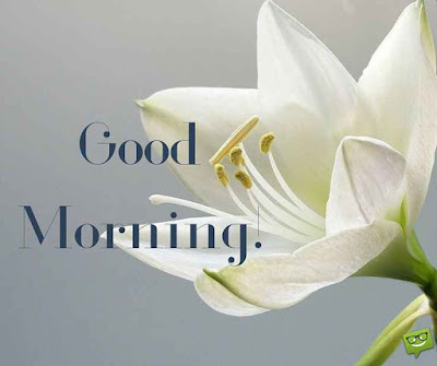 Top 165+ HD good morning images wishes - best good morning pic
