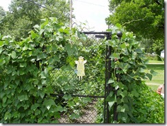 garden 12-jul-2004