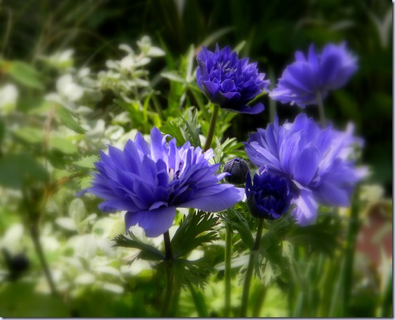 DSCN5172