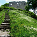 View album