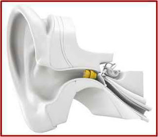 kulak işitme cihazı