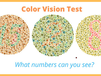 [コンプリート！] color vision 196388-Color vision deficiency