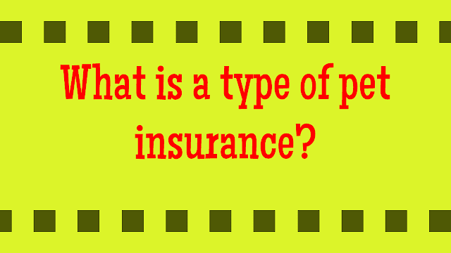 What is a type of pet insurance?