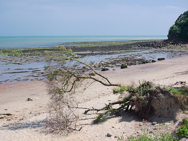 Ständig nagt das Meer am Land