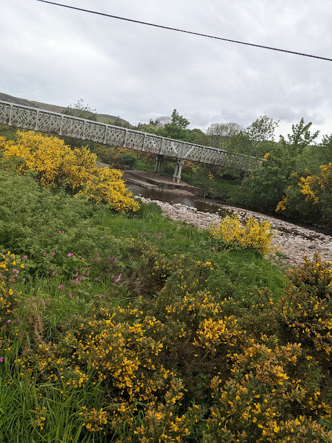 Ingram Valley Cafe & Riverside Walk  - Ingram Valley Bridge