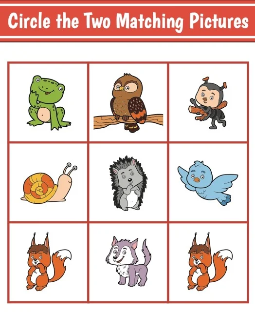Circle 2 Matching Pictures