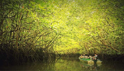 Sungai Sebong