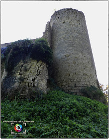 BLAMONT (54) - Château-fort