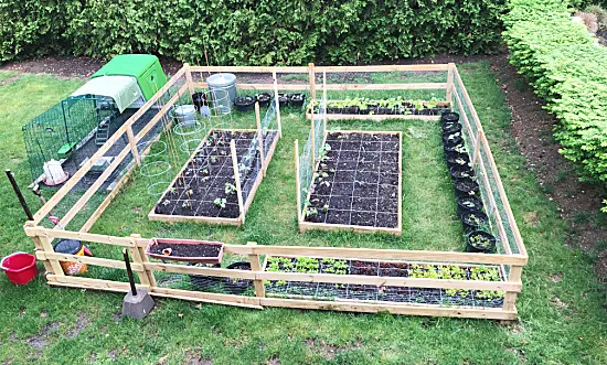 fenced in garden area with vegetables