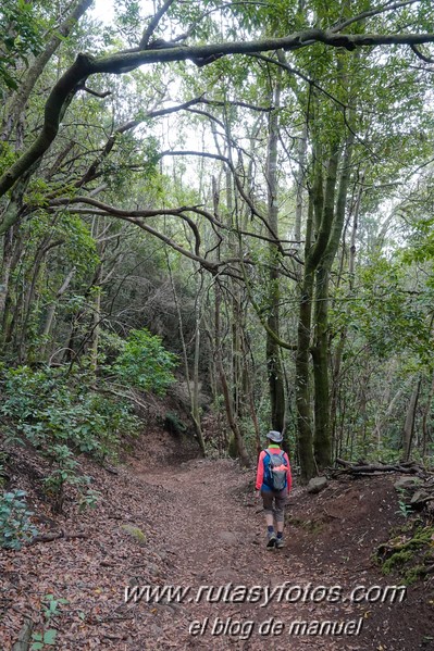 Sendero de los Sentidos - Sendero de los Enigmas