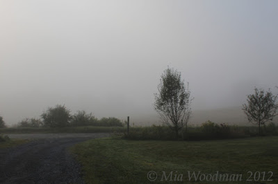 vermont morning fog