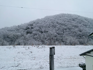 雪化粧