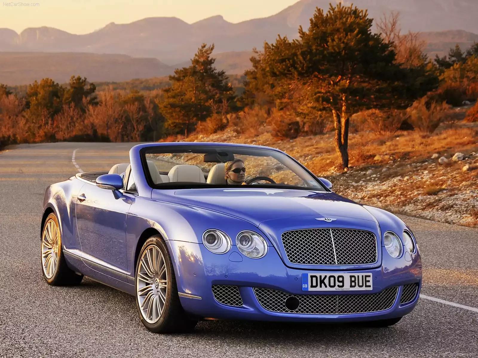 Hình ảnh xe ô tô Bentley Continental GTC Speed 2010 & nội ngoại thất