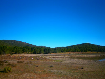 las lagunas de talayuelas, autor, miguel alejandro castillo moya