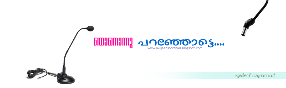 ഞാനൊന്നു  പറഞ്ഞോട്ടെ....