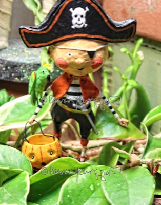 This photo features an whimsical figurine depicting a trick or treater dressed in a Pirate costume.  In this picture he is surrounded by succulent plants.