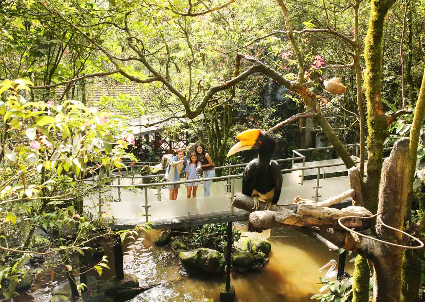 Taman Safari Bogor