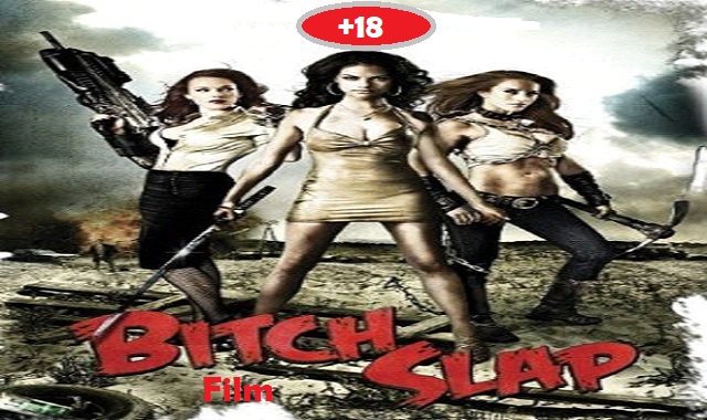 Bitch Slap 2009- مشاهدة ومعلومات فيلم صفعة العاهرة +18